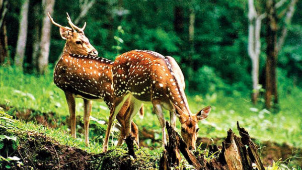 എത്രയും വേഗം തടയണം