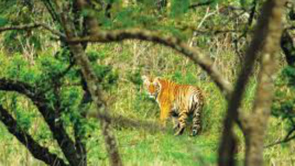 കണക്കുകള്‍ ഇങ്ങനെ