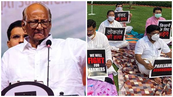 pawar pawar
