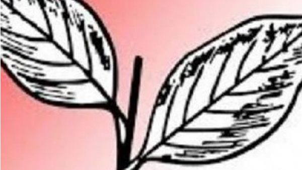 നോട്ടം ഇടത് പാളയത്തിലേക്ക്