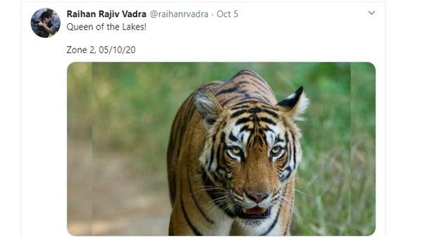 ഹൃദയം കവർന്ന് ചിത്രങ്ങൾ