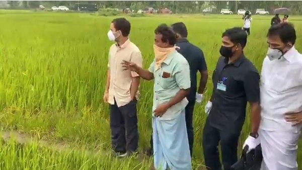 പരമ്പരാഗത വിത്തിനങ്ങളാണ്