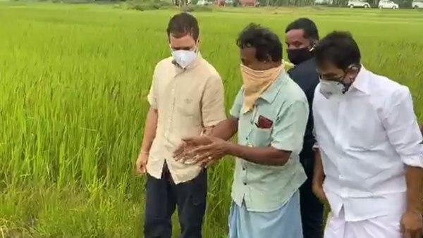 രാഹുൽ ഗാന്ധി ഉറപ്പു നൽകി