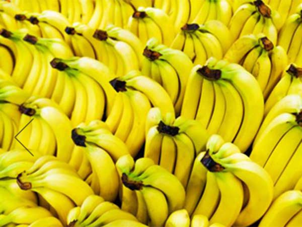 വില ഇടിവ്