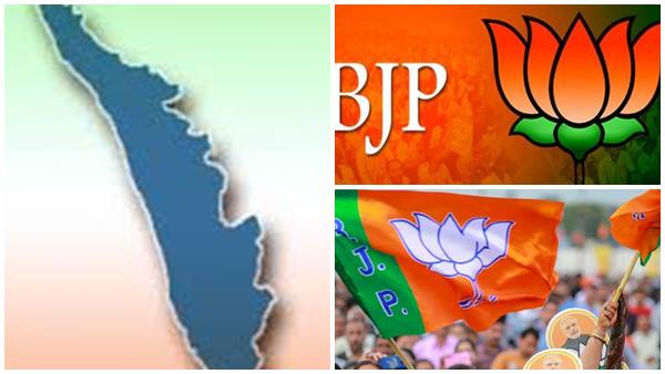 നേട്ടമുണ്ടാക്കിയിട്ടുണ്ട്