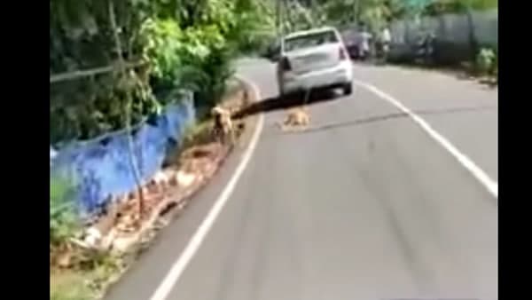 പ്രതിക്കായി തിരച്ചിൽ 