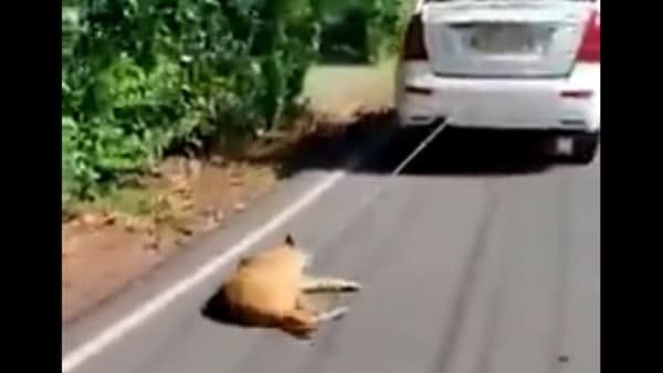 വാഹനം നിർത്തിച്ചു 