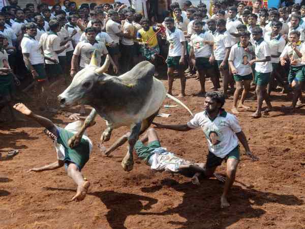 പുതിയ നിയമം പുതിയ നിയമം