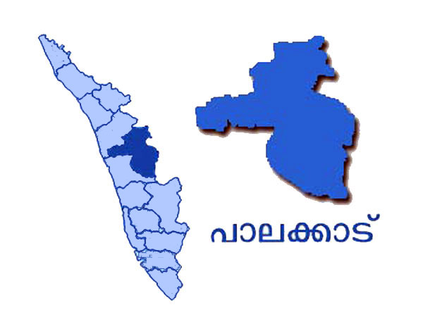 പാലക്കാട് മണ്ഡല ചരിത്രം