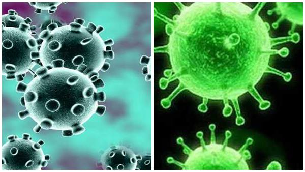 രോഗവ്യാപനം കുറവ്