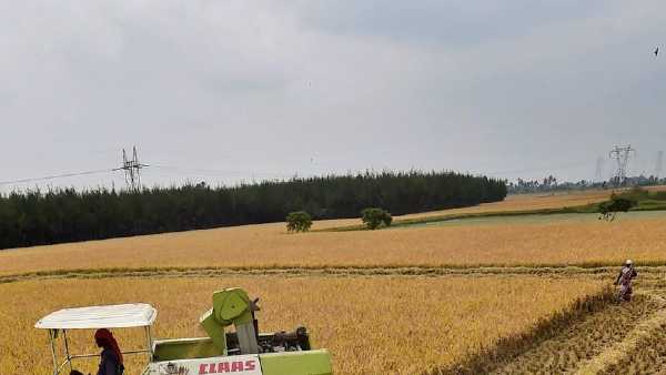 തർക്കങ്ങൾ പരിഹരിക്കണം