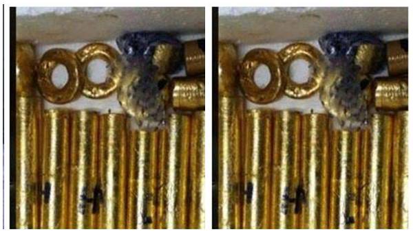 കേന്ദ്ര ഏജന്‍സികള്‍