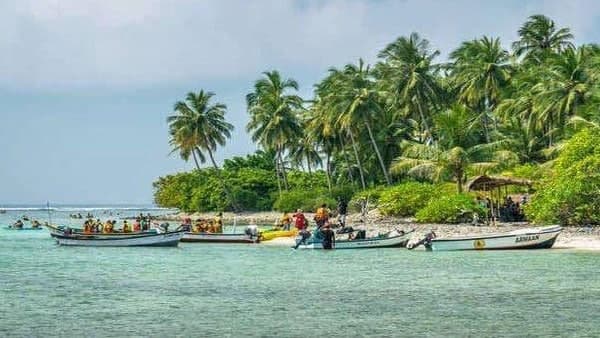ബാറുകള്‍ തുറക്കുന്നതായും ആരോപണം