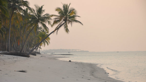 പാവം ജനതക്ക്‌ പിടിച്ച് നിൽക്കാൻ! 