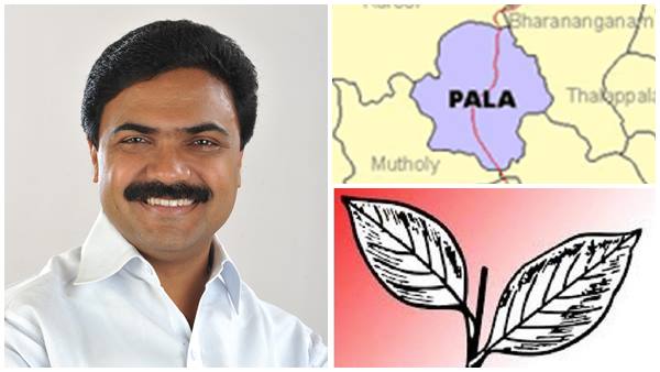 പാലായുടെ നഷ്ടം