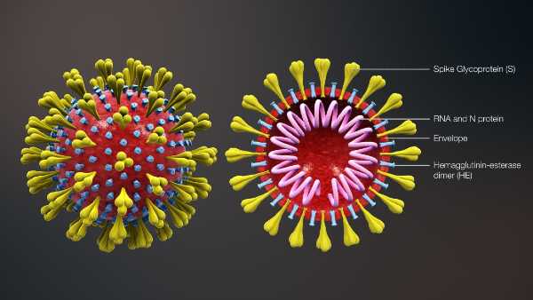 രോഗികൾ കൂടിയാൽ