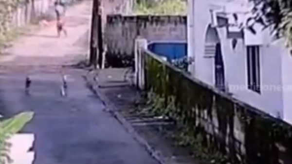 കൊച്ചിയില്‍