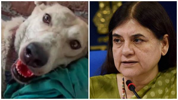 മനപ്പൂര്‍വ്വമല്ല