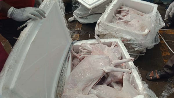 ഹോട്ടലുകളിലേക്ക്