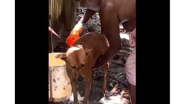 വീണ്ടും അജിത്തിലേക്ക്