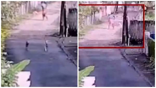 മൃഗസ്‌നേഹികള്‍ ഇടപെട്ടു