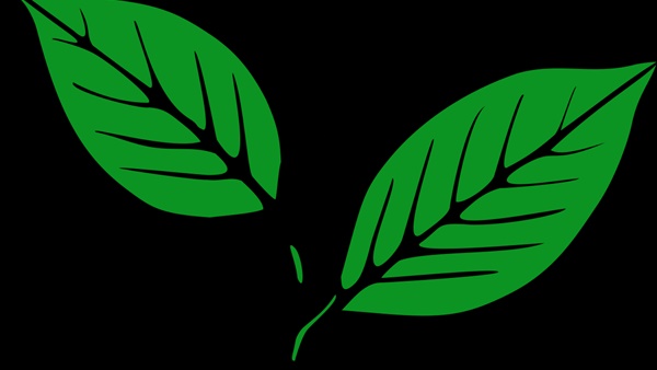 കേരളാ കോണ്‍ഗ്രസ്സ് (എം)