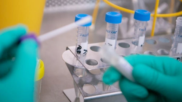 സാംബിൾ