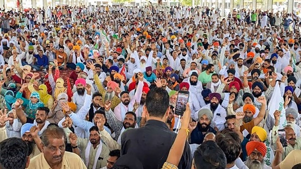 farmersharyana-1 farmersharyana-1