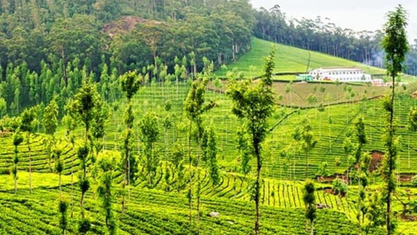 തിങ്കളാഴ്ച തിങ്കളാഴ്ച