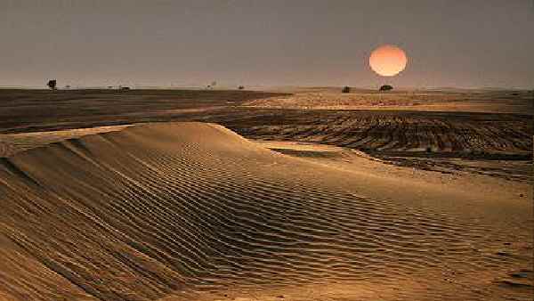 ഈ മാസം 23ന് നടക്കേണ്ടിയിരുന്ന മൂന്നാമത് മദീനത് സായിദ് ഒട്ടക സൗന്ദര്യ ഈ മാസം 23ന് നടക്കേണ്ടിയിരുന്ന മൂന്നാമത് മദീനത് സായിദ് ഒട്ടക സൗന്ദര്യ