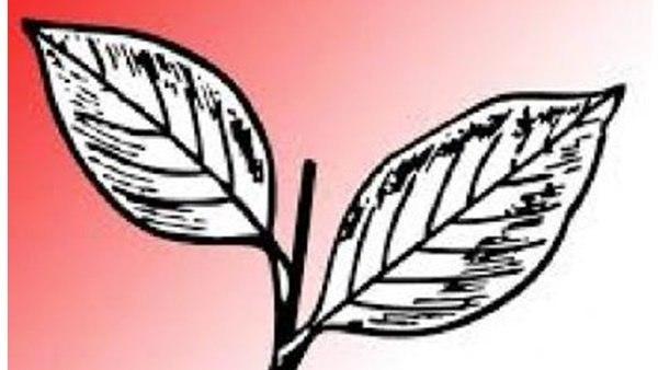 എന്നാൽ അച്ചടക്ക നടപടി എടുക്കാൻ തക്കവണ്ണം വീഴ്ച ഇല്ല എന്നാണ് സി പി എം