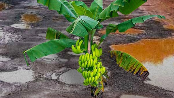 ഇങ്ങനെയൊരു പരസ്യവാചകമെഴുതുന്നതിലൂടെ ഞങ്ങളും ഇങ്ങനെയൊരു പരസ്യവാചകമെഴുതുന്നതിലൂടെ ഞങ്ങളും