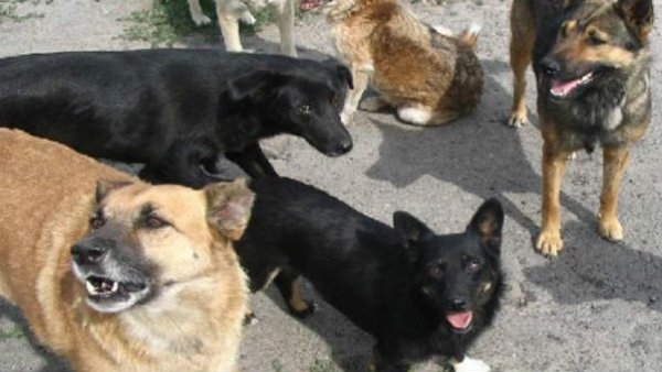 1-1662820245.jpg -Proper 1-1662820245.jpg -Proper