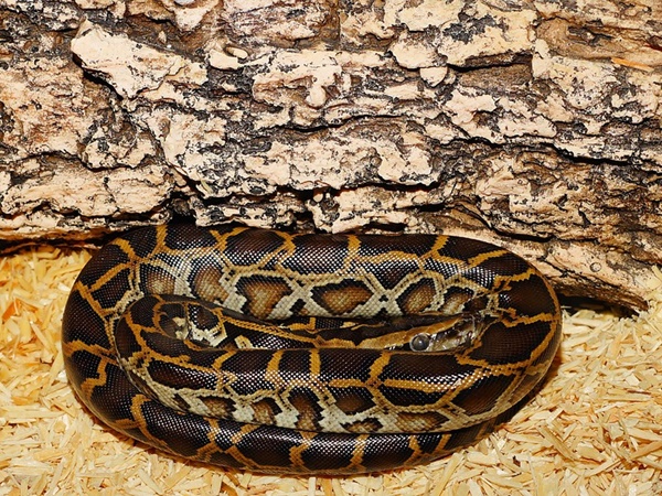 ഇരുവരുടേയും പെരുമാറ്റത്തില്‍ അസ്വാഭാവികത തോന്നി