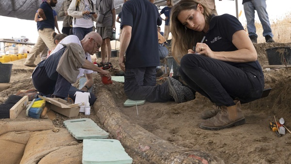 കണ്ടെത്തിയ കൊമ്പിന് വലിയ കേടുപാടുകള്‍ ഒന്നും 