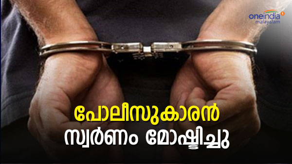 police new police new