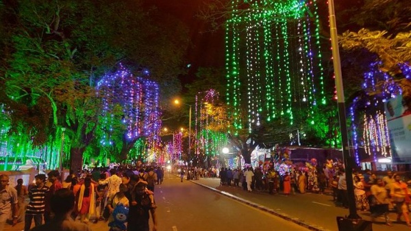 night life night life