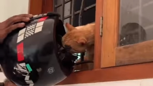 ഒടുവിൽ തലയൂരി ഒടുവിൽ തലയൂരി