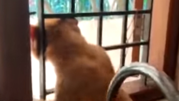 ജനൽ വഴി പുറത്തേക്ക് പോകാൻ ജനൽ വഴി പുറത്തേക്ക് പോകാൻ