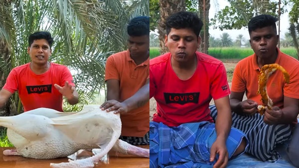 ടർക്കി കോഴിയുടെ രുചിയെന്ന്