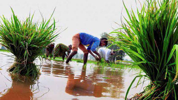 1949 ജൂലൈ 1-ന്, തിരുവിതാംകൂറും കൊച്ചിയും