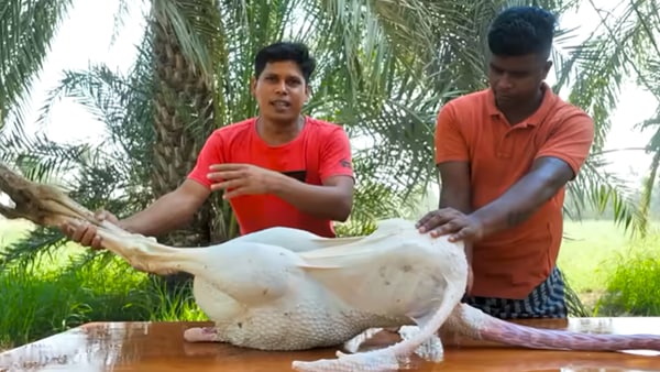 ഫിറോസ് ചുട്ടിപ്പാറയും രതീഷും