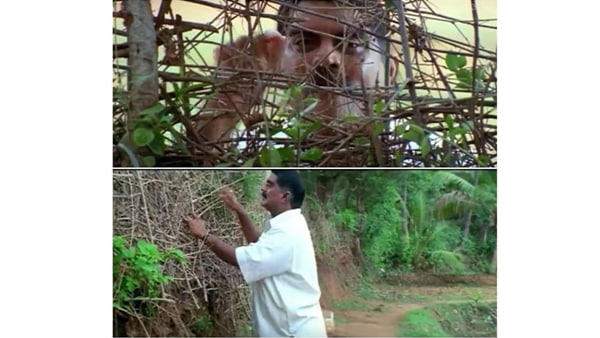 ഇവിടെ അവനവന്റെ കാര്യം നോക്കാനേ സമയം ഇവിടെ അവനവന്റെ കാര്യം നോക്കാനേ സമയം
