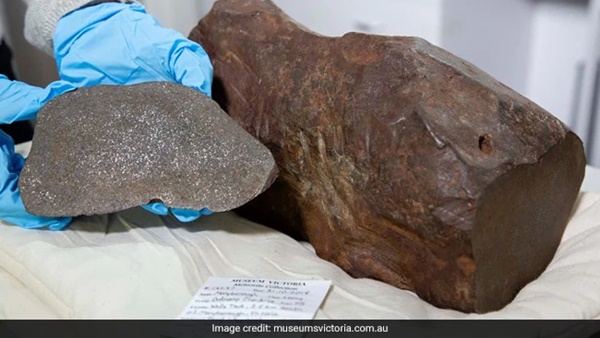 മെൽബണിന് സമീപം സ്വർണം തേടി ഇറങ്ങിയ ഡേവിഡ്