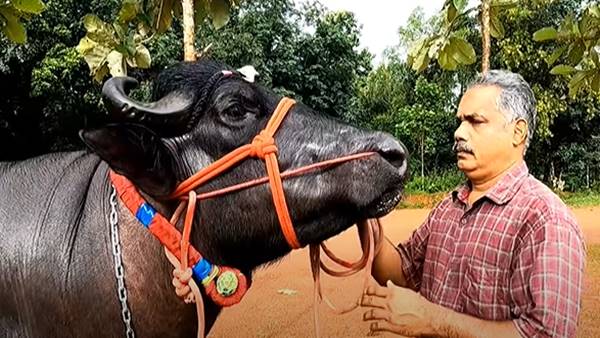 സ്വന്തം മക്കളെ പോലെ