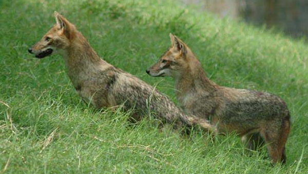 ചിത്രത്തിലേക്ക് സൂകഷിച്ച് നോക്കൂ
