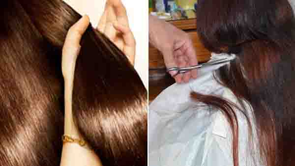 പ്രതിഭാഗം നൽകിയ വിവിധ ക്ലെയിമുകൾ