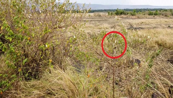 ഇതാ അവസാനത്തെ ശ്രമം