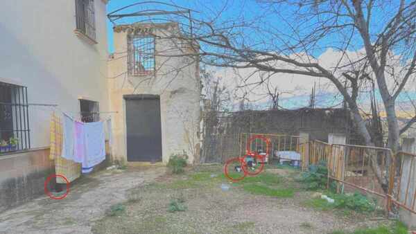 15 സെക്കന്‍ഡില്‍ കണ്ടെത്തണം