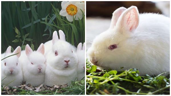 കാട്ടില്‍ ആരൊക്കെയുണ്ടാവും